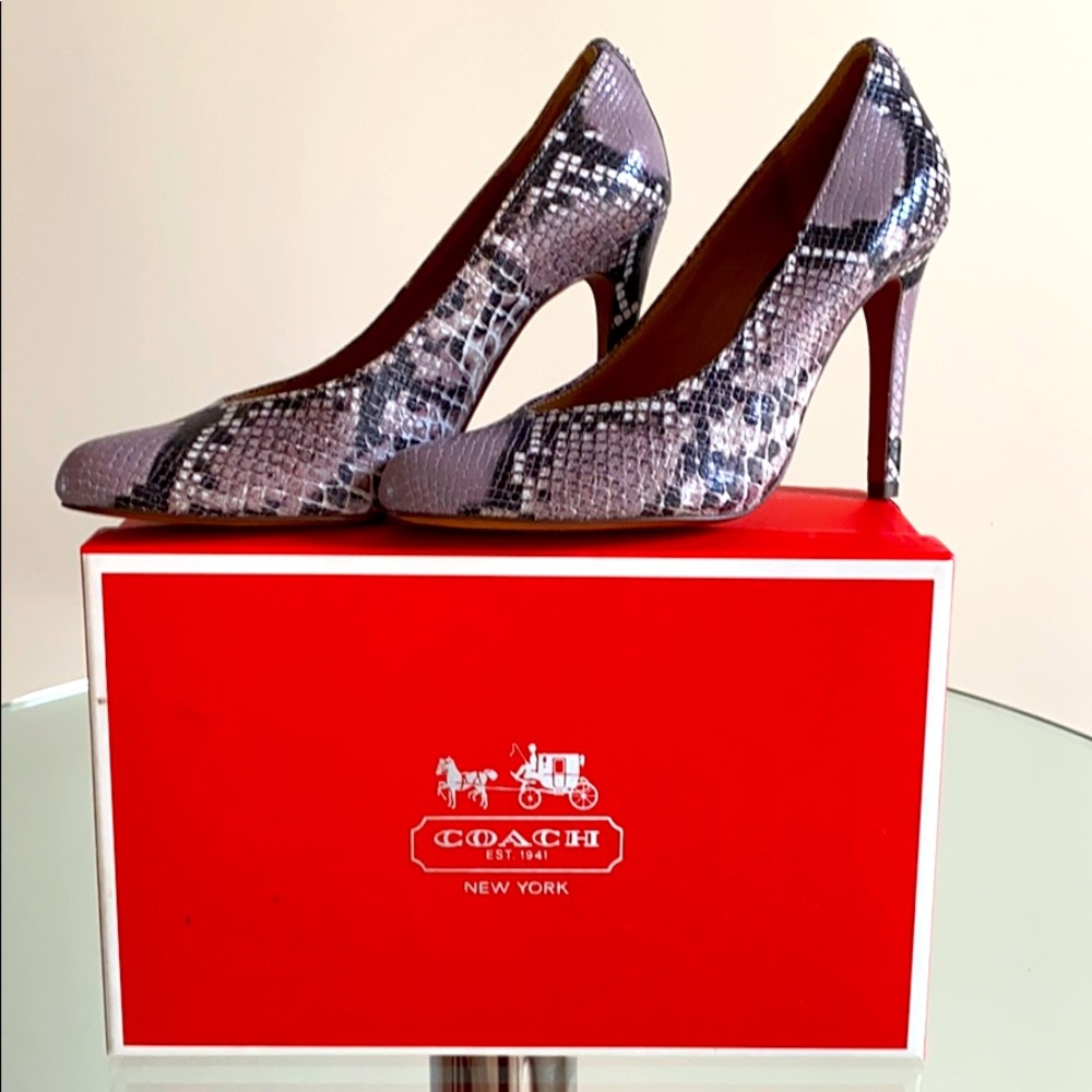 Coach urban printed snake